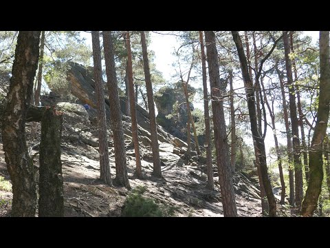 Wandern - Teutoburger Wald, Rundwanderung über den Hermannsweg zwischen Brochterbeck und Brumleytal