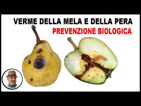 , title : 'VERME DELLA MELA E DELLA PERA, COME FARE LA PREVENZIONE BIOLOGICA'