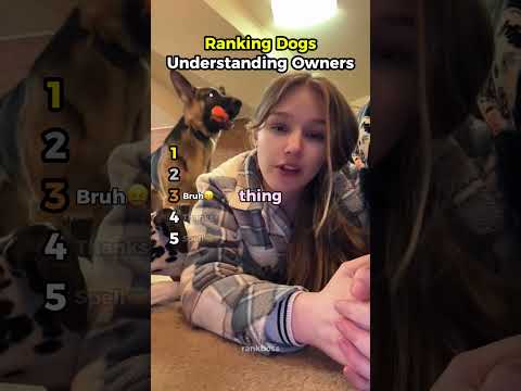 Ranking Dogs Understanding Owners Moments (Part 2)
