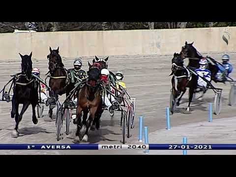 Aversa trotto 27 Gennaio 2021 - 1° Corsa