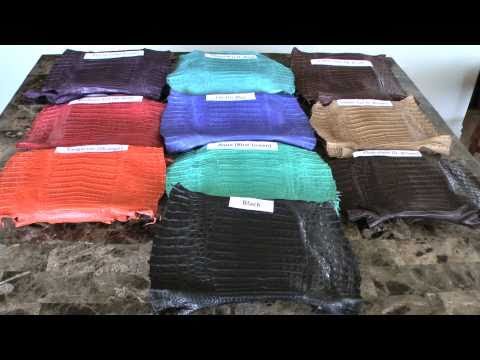 Fall 2010 Caiman Belly 40CM up or 16" x 48"