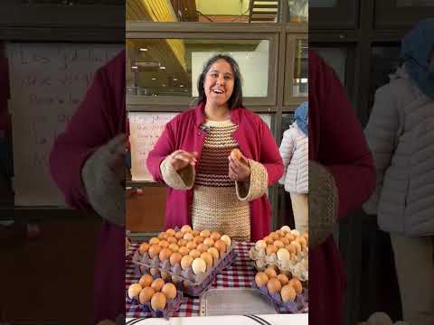 Producción agroecológica y consumo responsable