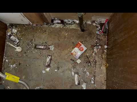 Mice Stealing Candy & Bringing It Under the Stove in Plainsboro, NJ