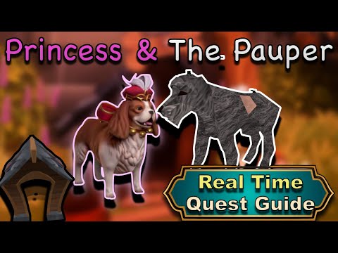 Princess and The Pauper - Real Time Quest Guides