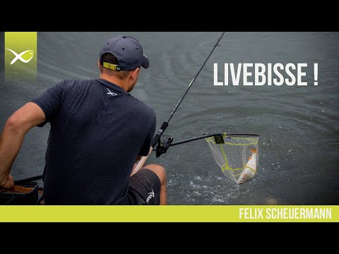 *** MATCH ANGELN TV *** l BISS AUF BISS l HORIZON PRO l FEEDERN AM FLUSS