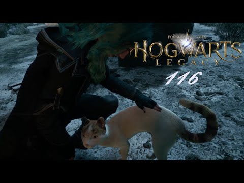Lets Play Hogwarts Legacy - Part 116 - Rookwood muss warten, erst einmal Katze streicheln