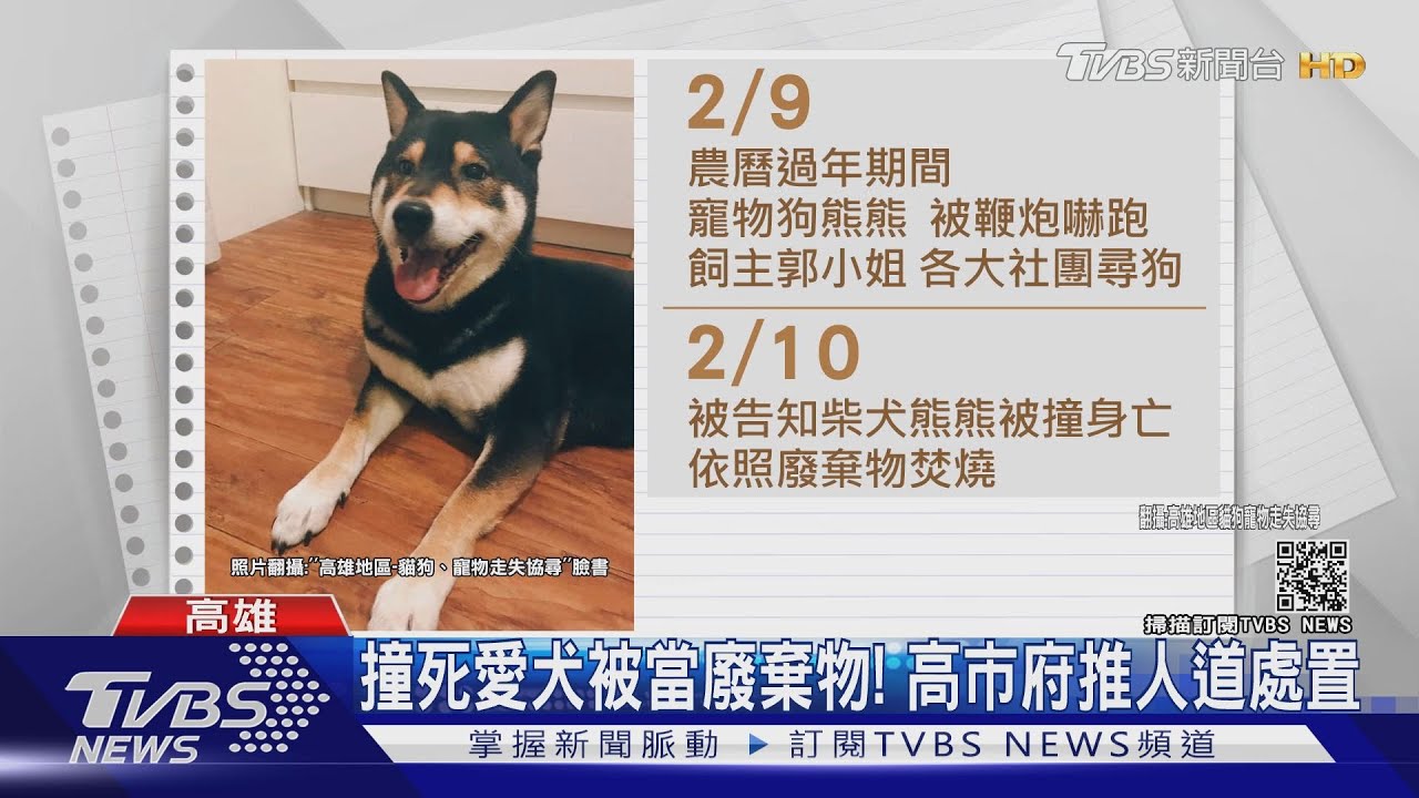 愛犬路中被撞死清潔員依廢棄物焚燒 高市府這樣做被讚爆