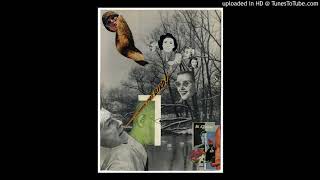 Robert Pollard - Pain (2019)