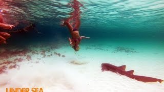 travel in america from story to story day 116 deepboarding bocas del toro