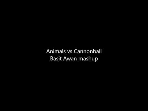 Animals VS Cannonball Mashup- Basit Awan