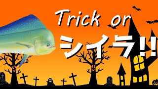 【あつまれどうぶつの森】トリックオアシイラ【ハロウィン】