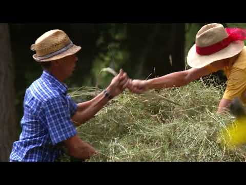 Die Bergbauernpreisträger 2022: Fam. Rubatscher, Moslhof, Wengen