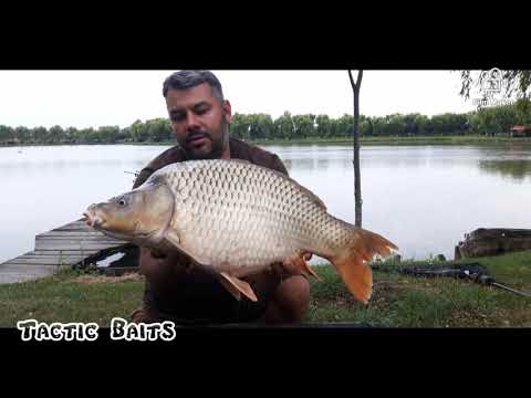 Tactic Baits    - boilies Monster Crab