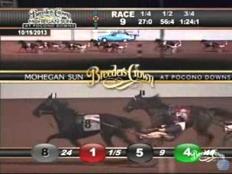 Breeders Crown Open Mare Trot 2013 -Maven
