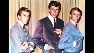 Bee Gees -  How Love Was True  1965