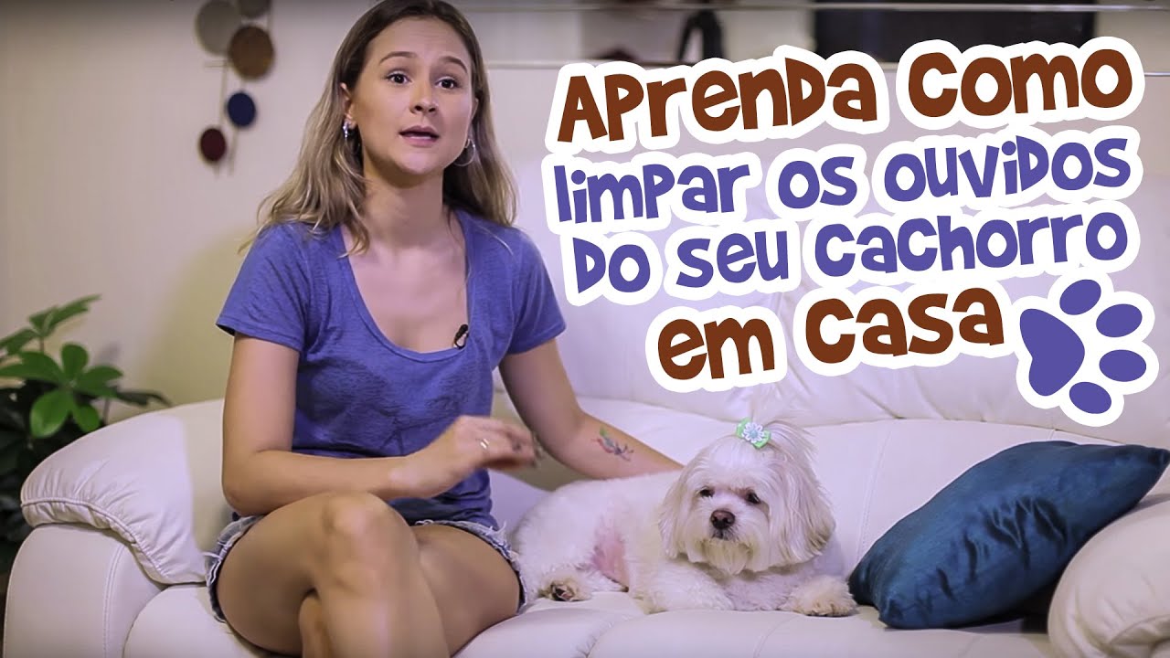 Limpando ouvido / orelha do seu cachorro [Ju Almeida Pet]