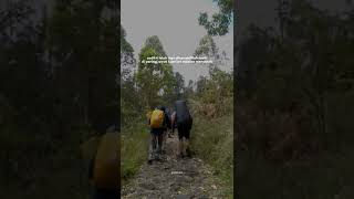 Download lagu story wa (jalur pendakian gunung arjuna welirang) mp3 Download lagu story wa (jalur pendakian gunung arjuna welirang) mp3