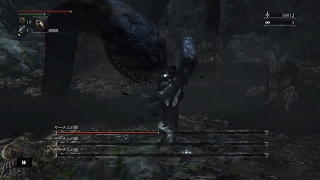 [初見実況]Blood borne#15[ヤーナムの影]
