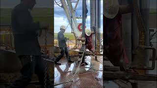 Download lagu Floorman job Workover Rig #rig #floorman #drilling #oil #tripping mp3 Download lagu Floorman job Workover Rig #rig #floorman #drilling #oil #tripping mp3