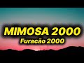 Furacão 2000 Mimosa 2000 Lyrics