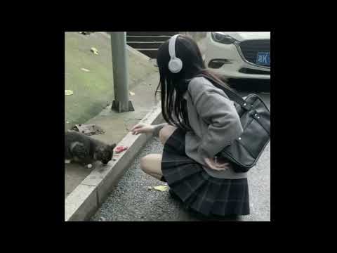 DLooijer - S!CK G!RL (prod.astrolaw)