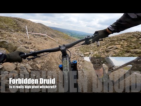 Forbidden Druid Long Term Review