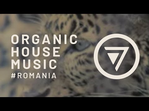 Da Mike feat. Kawtar Sadik - Malayou (Original Mix) [Connected] | Organic House Selection | #Romania
