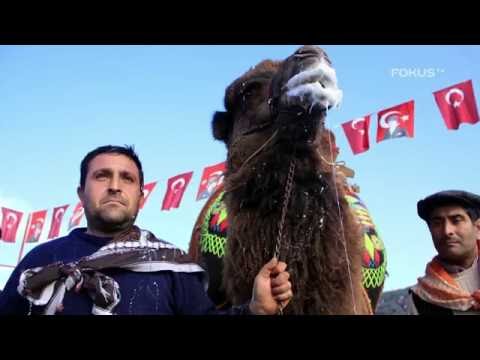 Najdziwniejsze dyscypliny sportu, część #2. Lista Fokusa