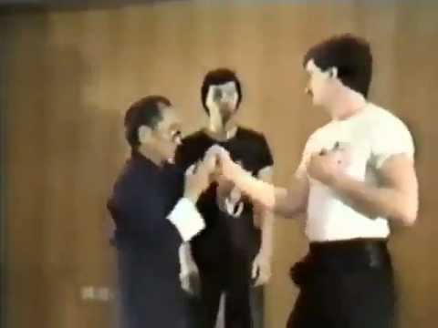 Original Wing Chun