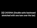 [G] CASSINA (Double salto backward stretched with one turn over the bar)