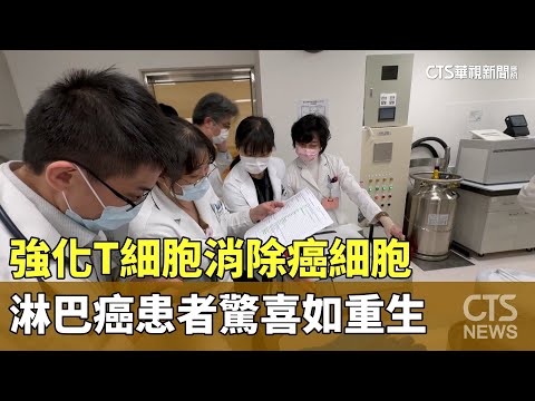 強化T細胞消除癌細胞　淋巴癌患者驚喜如重生