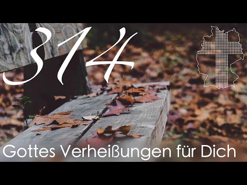 Gottes Verheißungen für Dich - 1. Thess. 1,10 | Videokalender 314/365 - Deutschland braucht JESUS