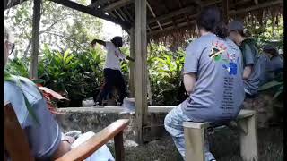 Purple - fatai | stan dread