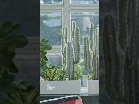 sculpture-contemporaine-plantes-exotiques-piscine-fontaine-chaise-longue