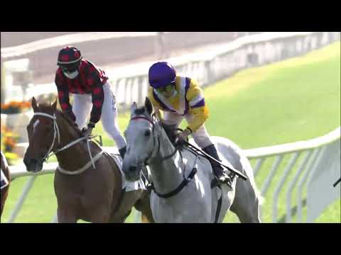 31/1/2021 (389) Glorious Dragon - Matthew Poon (G3 The Centenary Vase)