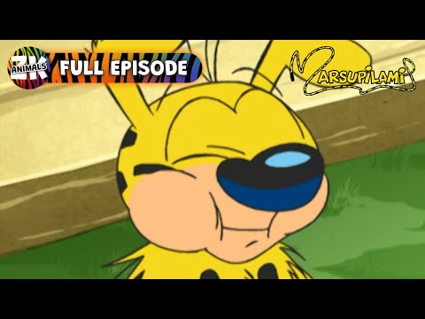 Marsupilami | Season 2, Episode 24 | Marsupilami to the Rescue