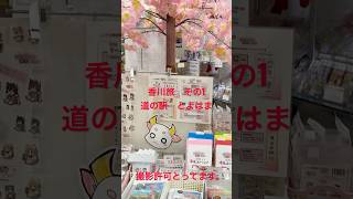 香川旅　その１　道の駅とよはま#香川県
