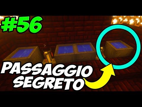 IL PASSAGGIO SEGRETO - Minecraft #56
