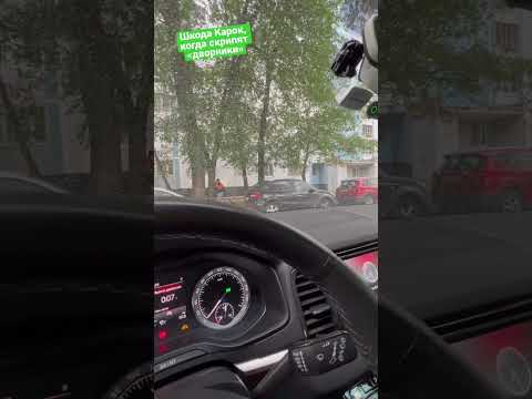 Как перевести дворники шкода карок и Шкода Каро в сервисный режим