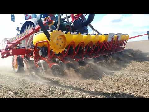 RAPOOL PiCARD - Ein neuer Sortenzyklus der anderen Art