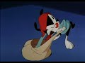Animaniacs S01E22 Tower Return