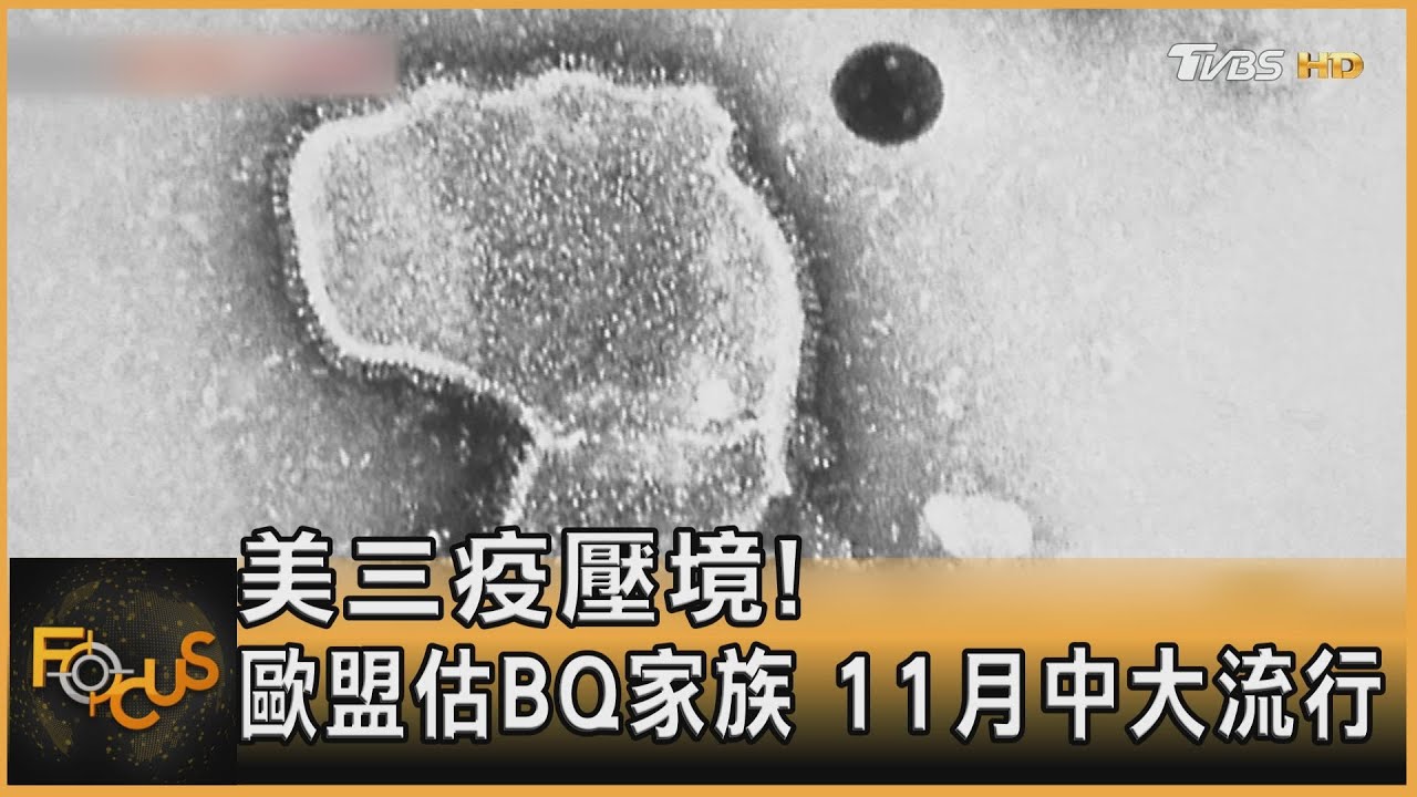 美三疫壓境!歐盟估BQ家族 11月中大流行