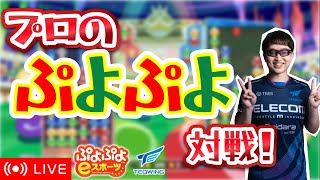 プロのぷよぷよ対戦!171 vs teva 30先 #ぷよぷよ #shorts #縦型配信