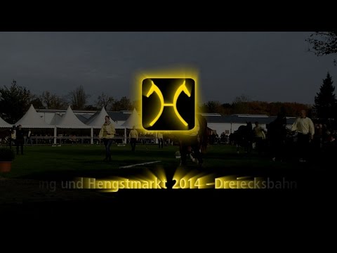 DVDs der Hannoveraner Körungen