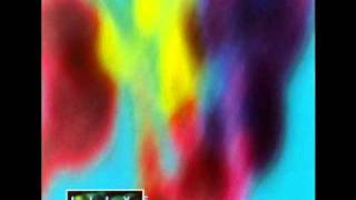 The Lilys - The Hermit Crab