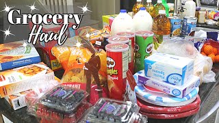 GROCERY HAUL // SHOP WITH ME // CLEANNING MOM