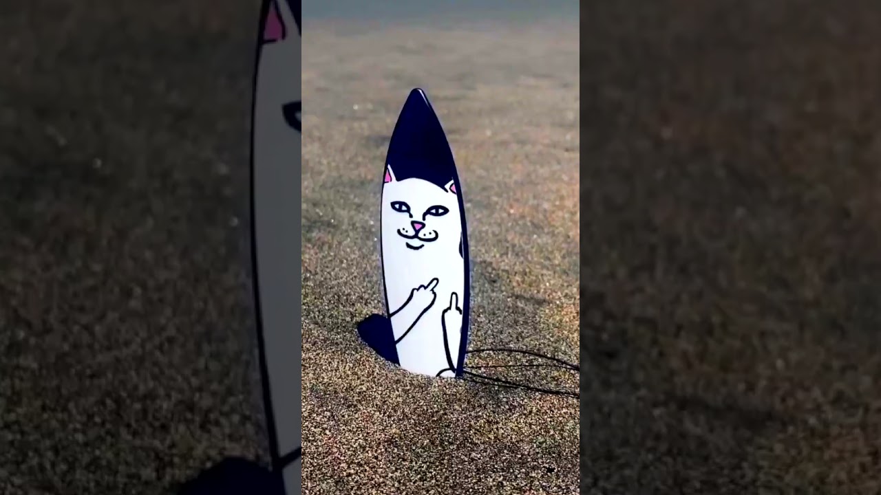 RIPNDIP Finger SurfBoard #shorts