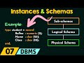Instances And Schemas In DBMS