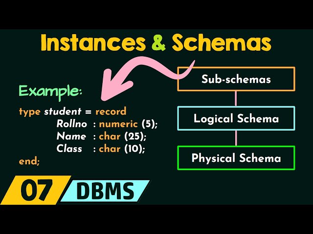 Understanding Instances and Schemas in Database Management Systems | Magica