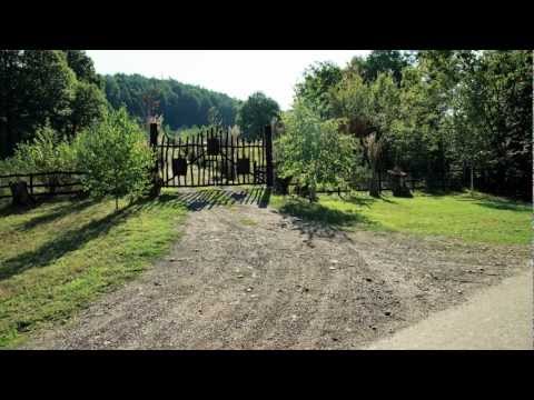 Cazare Vama (Satu Mare)-Cabana "Mesteacanul". Prezentare.mp4